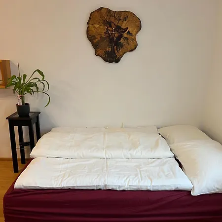 Appartamento Garconniere Mit Wohlfuehlcharakter Graz