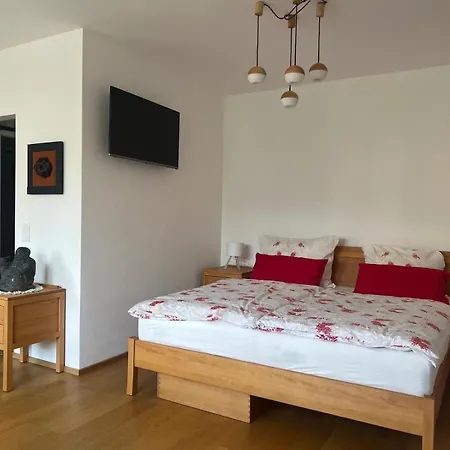 Garconniere Mit Wohlfuehlcharakter Appartamento Graz