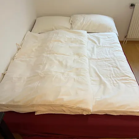 Garconniere Mit Wohlfuehlcharakter Graz